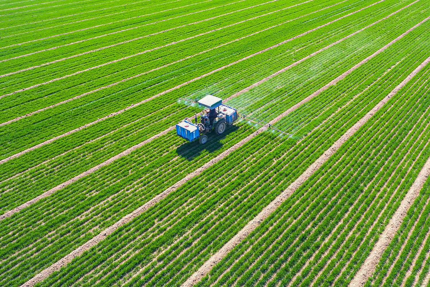 EXPLAINED: Why is China so worried about food security?