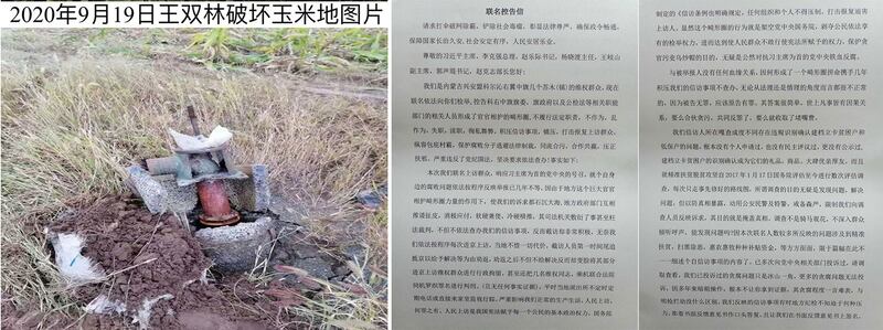 左图： 内蒙科右中旗好腰苏木镇村民指花胡硕苏木白音温都尔嘎查书记王双林破坏玉米地。（志愿者提供/记者乔龙）；右图：内蒙古农牧民给中国国家主席习近平、总理李克强等高官的公开求助信。（志愿者提供/记者乔龙）