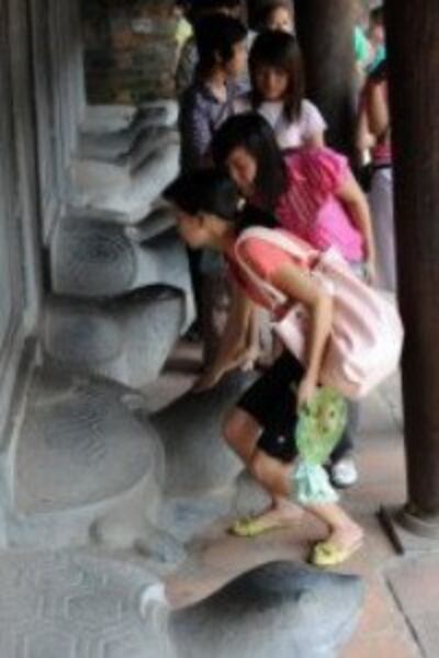 afp-hdn-touch-head-turtle