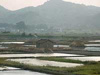 Guangdong_land01_200.jpg