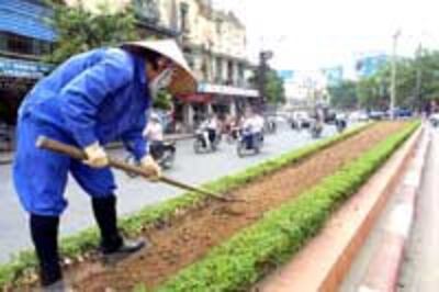 EnvironmentGreen200.jpg