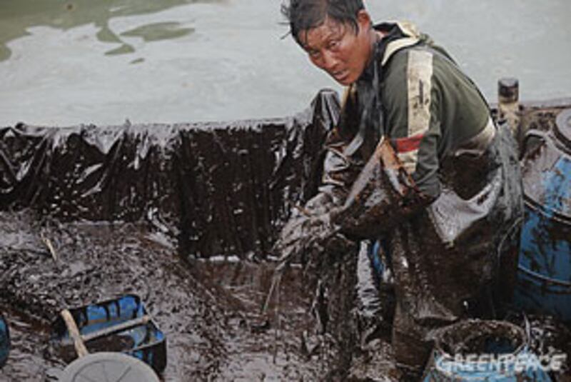 greenpeace-foto3_305.jpg