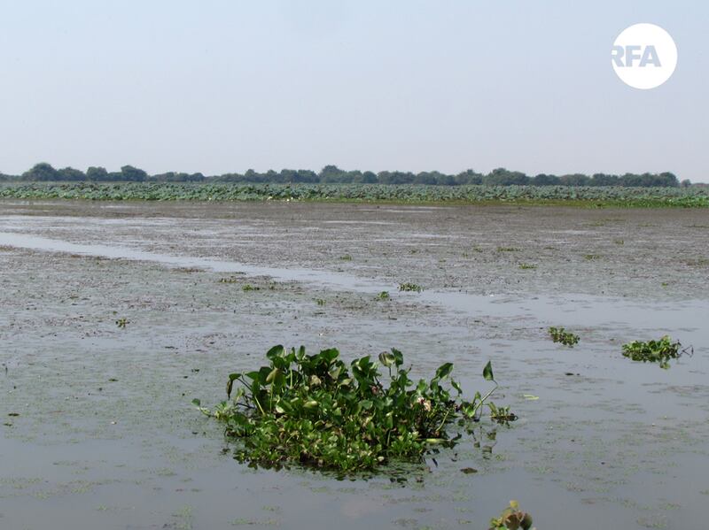 តំបន់​អភិរក្ស​បឹង​តង្កៀប​ក្ដាម ឃុំ​ប្រាសាទ ស្រុក​ព្រះនេត្រព្រះ ខេត្ត​បន្ទាយមានជ័យ នៅ​ថ្ងៃ​ទី​១១ ខែ​កុម្ភៈ ឆ្នាំ​២០១៧។ RFA/Hum Chamroeun