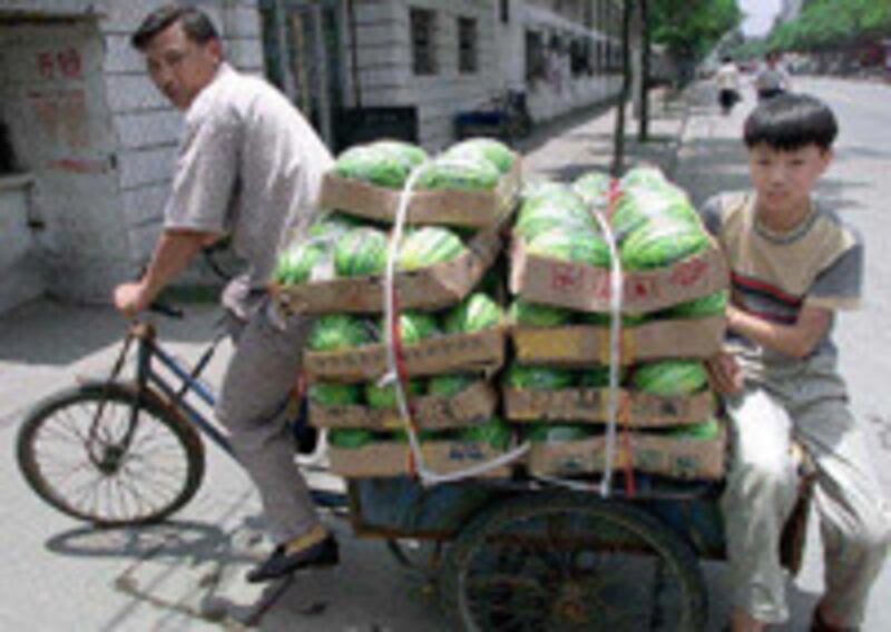 WaterMelonTrader_200.jpg