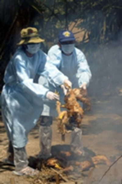 vietnam_avian_flu_200.jpg