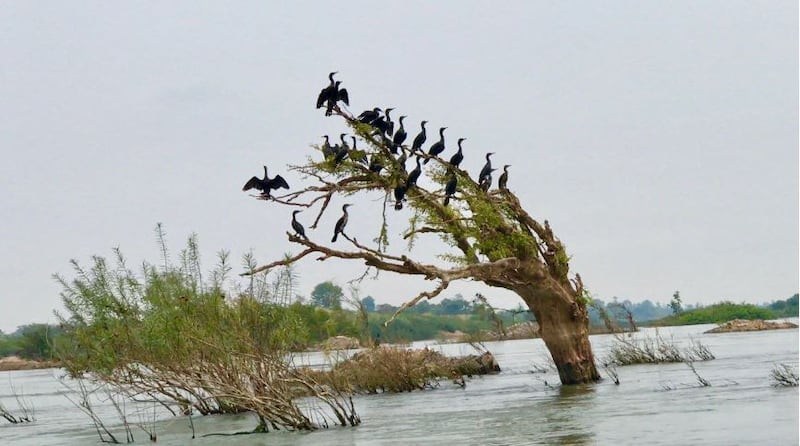 រ៉ាមសារ.JPG