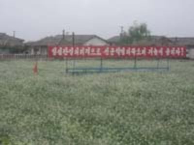 PYUNGYANG_rurual200.jpg