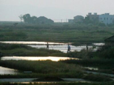 Guangdong_land02_200.jpg
