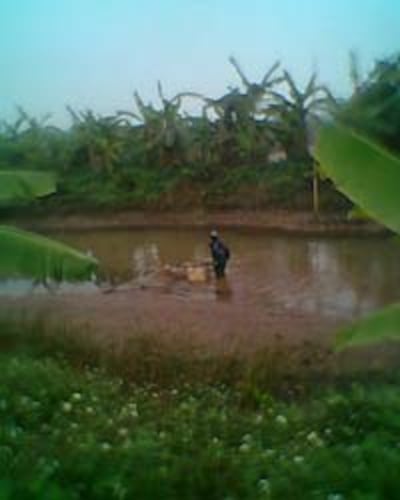 cuong-che_hai_phong-(4)-200.jpg