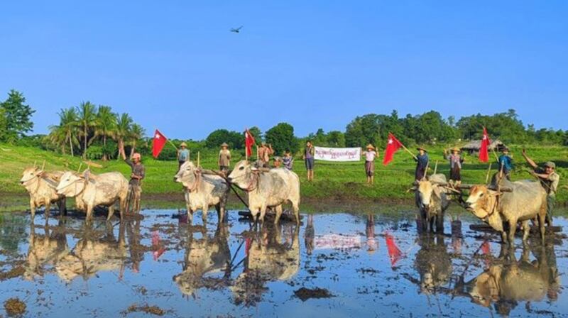Farmers from Khin-U township stage an outlawed plowing protest against the Myanmar junta in northwestern Myanmar's Sagaing region, Aug. 29, 2023. Credit: Khin-U township True News Information