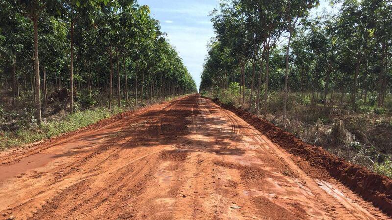 Try_Pheap_rubber_plantation_group_FB_061019.jpg