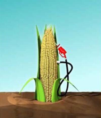 ethanol_newbuster.org_200