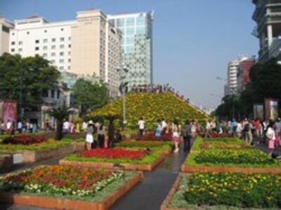 hoa3-250-nguoisaigon.jpg