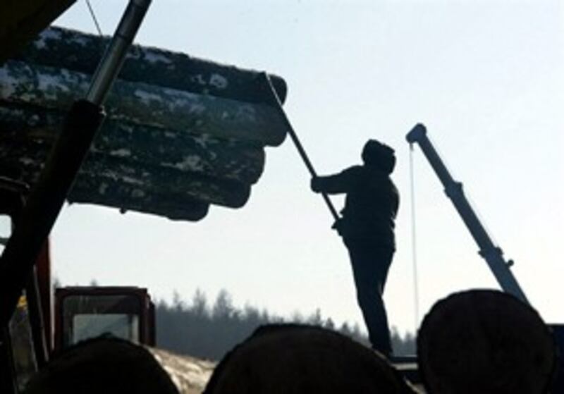 nk_logger_303