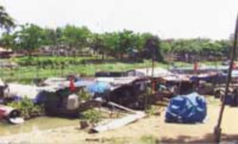 VanDo200b.jpg