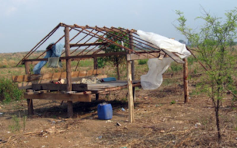 ២០-មីនា-២០១៣៖ ខ្ទម​របស់​ពលរដ្ឋ​សង់​លើ​អតីត​ដី​ភូមិ​របស់​ខ្លួន ដែល​បច្ចុប្បន្ន​ដី​នោះ​ក្រុមហ៊ុន​ឈូស​ឆាយ​ដាំ​កៅស៊ូ នៅ​ ភូមិ​អូរតាម៉េង នៃ​ឃុំ​អន្លង់វែង ស្រុក​អន្លង់វែង ខេត្ត​ឧត្ដរមានជ័យ។