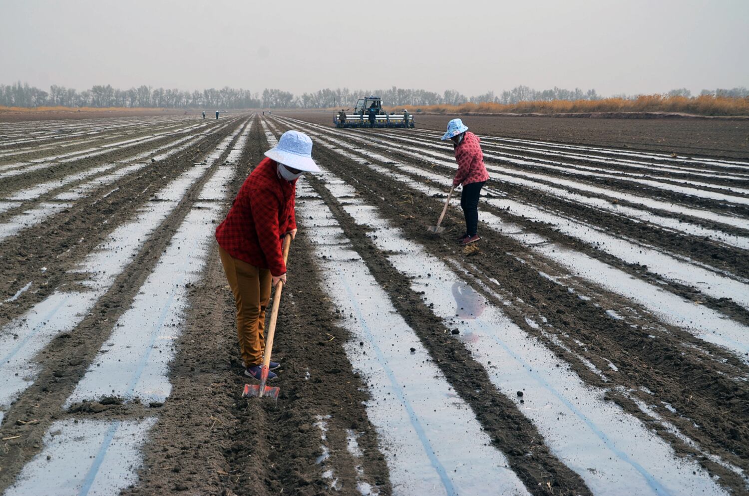 Illegal wells in Xinjiang spark tension and dry up the land