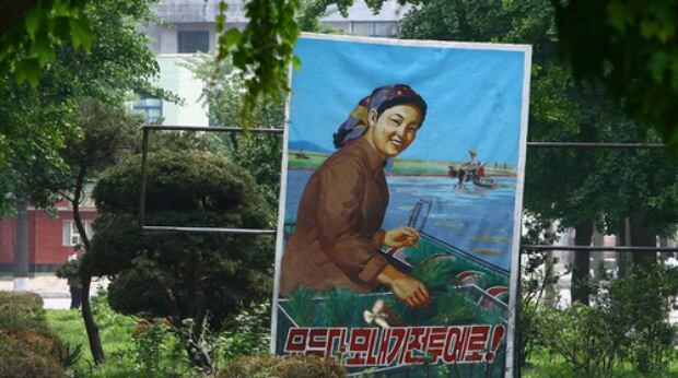북한의 '모두다 모내기 전투에로' 포스터.