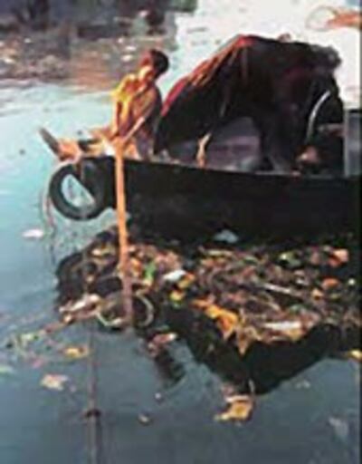 Nước ô nhiễm nguồn gốc các bệnh dịch. Vietnamnet