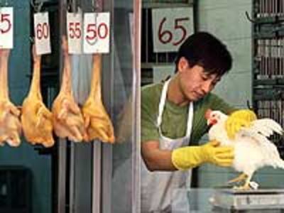 Birdflu20051026_200.jpg