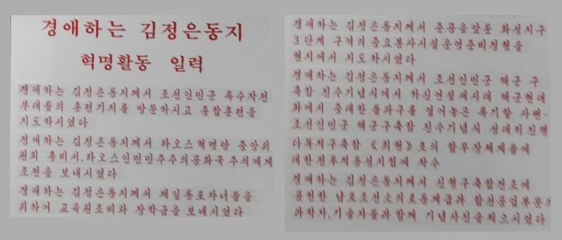 북한 당국이 배포한 일일 활동을 정치 선전물