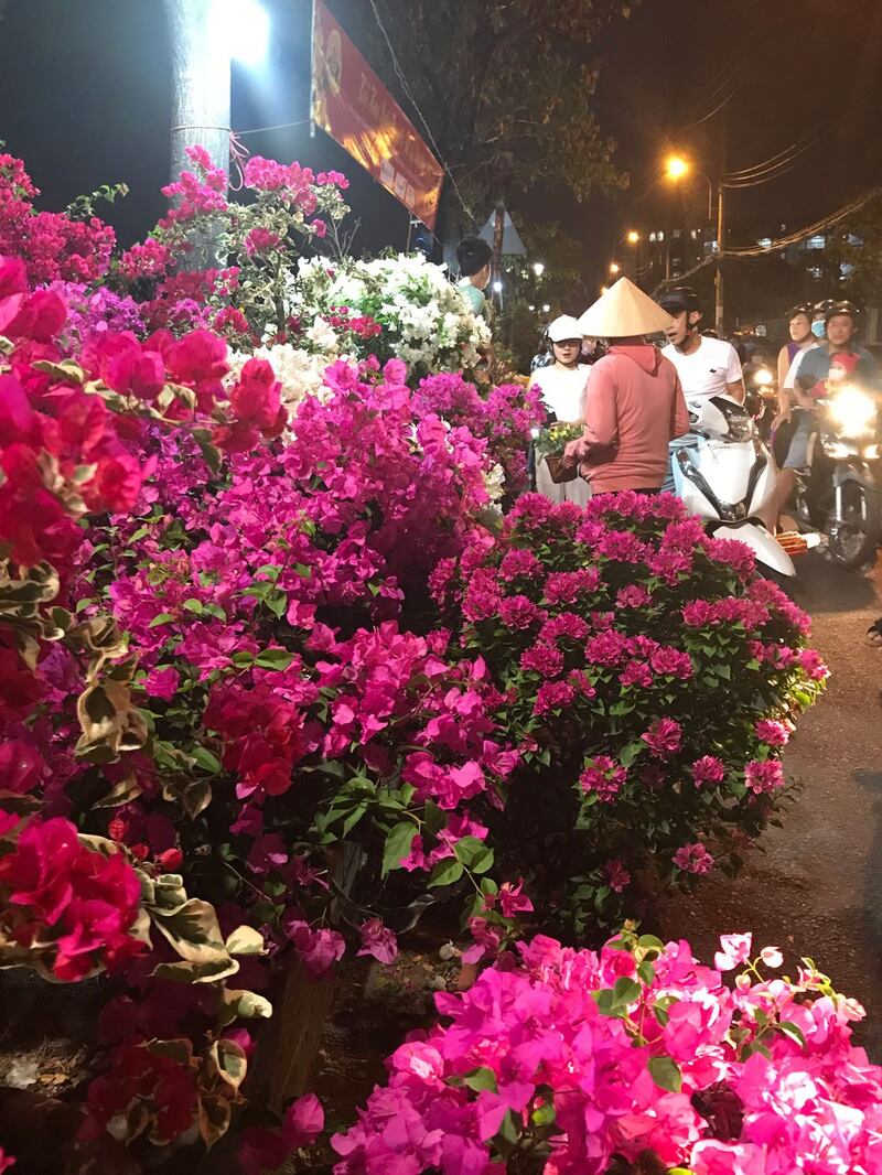 Hoa giấy ở chợ hoa Bình Đông Tết Kỷ hợi 2019