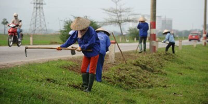 Công nhân cây xanh làm việc dọc theo một đường cao tốc ở huyện Sóc Sơn, ngoại ô Hà Nội hôm 19/3/2015. AFP photo 