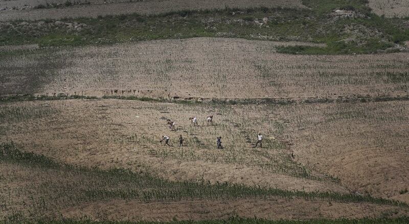 field-work.jpg