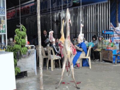 Một quán bán thịt rừng ở Hà Nội. RFA photo.