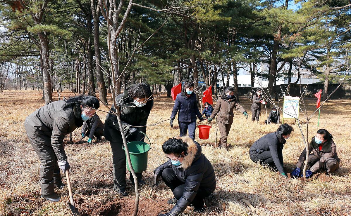 북한 각지의 간부들과 근로자들이 식수절(3월 2일·남한의 식목일)을 맞아 나무심기에 나섰다고 조선중앙통신이 3일 보도했다.