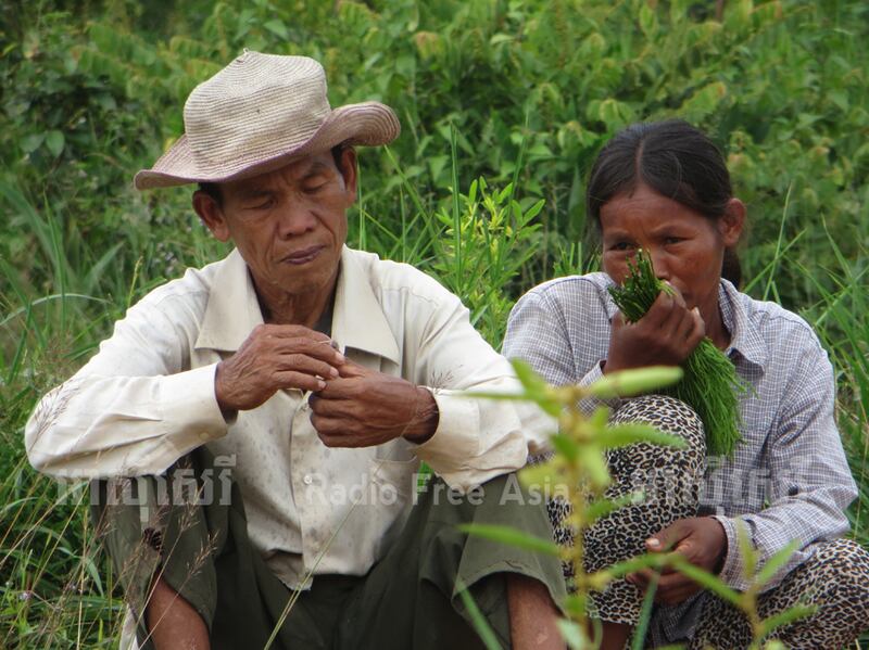 អតីត​អ្នក​ភូមិ​អូរបាត់មាន់ ដែល​រង​ការ​បណ្ដេញ​ចេញ​ឲ្យ​មក​រស់​នៅ​ភូមិ​ទួលពង្រ ខេត្ត​ឧត្ដរមានជ័យ ដើរ​ស្វែង​រក​បេះ​បន្លែ​ព្រៃ​មក​ចម្អិន​ទទួល​ទាន កាល​ពី​ថ្ងៃ​ទី​៨ ខែ​កក្កដា ឆ្នាំ​២០១៧។ RFA/Hang Savyouth