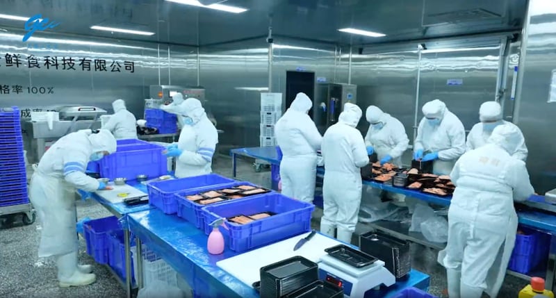 Workers package farmed fish at Tianyun’s processing facility, Xinjiang Zungui Fresh Food Technology in Urumqi, Xinjiang Uyghur Autonomous Region.