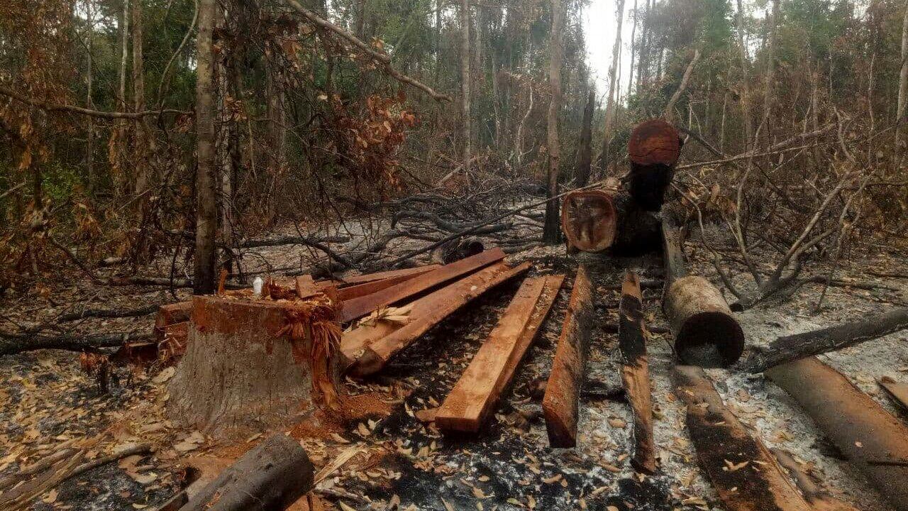 Cambodian journalists reporting on illegal logging charged with extortion
