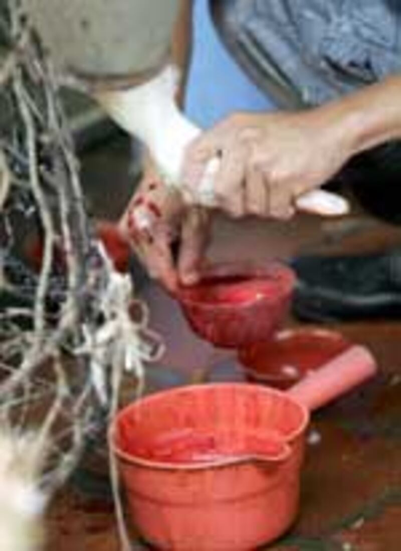 BirdFlu150.jpg