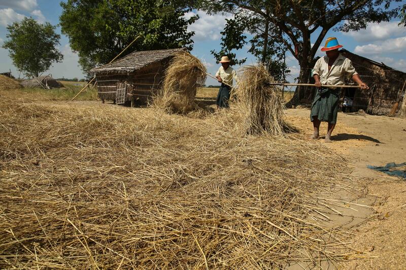 ဒလမြို့နယ်မှာ ဒီဇင်ဘာ ၁၅ ရက်နေ့က ကောက်ရိုးပုံနေတဲ့ လယ်သမားတွေကို တွေ့ရစဉ်