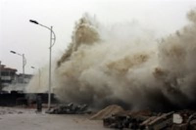 taifeng-200.jpg