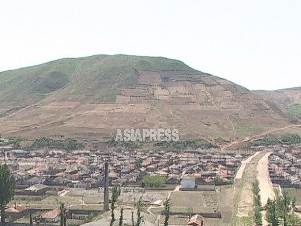 사진은 함경북도 회령시의 야산. 