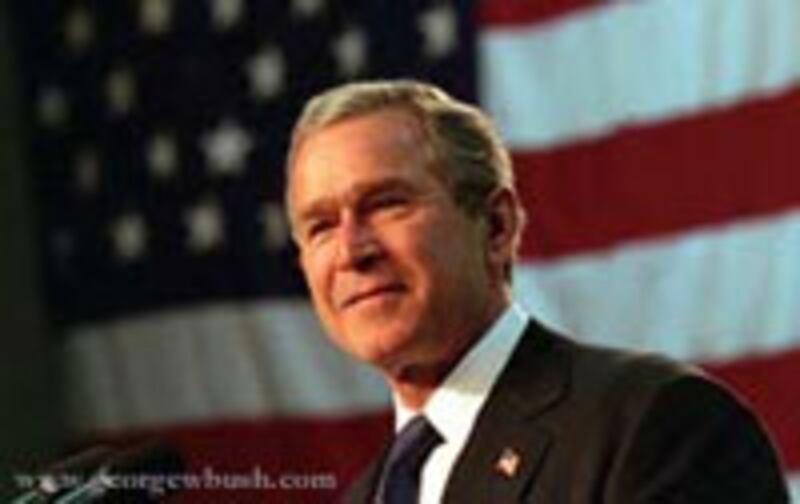 bush250.jpg