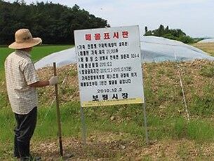 충남 보령시 천북면 장은리 구제역 매몰지 . 요즘 이 매몰지 주변 곳곳에 침출수로 보이는 검게 썩은 물이 흘러나오고 있다.