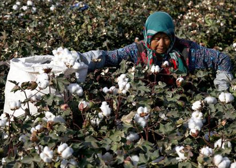 us-xinjiang2.jpg