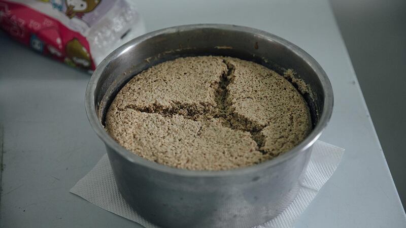 由台北市立动物园开发而出的人工穿山甲食物,俗称「穿山甲蛋糕」。(摄影/余志伟)