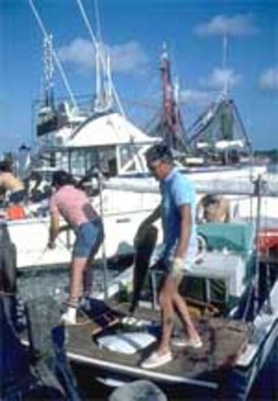 FishermenGulfofMexico150.jpg