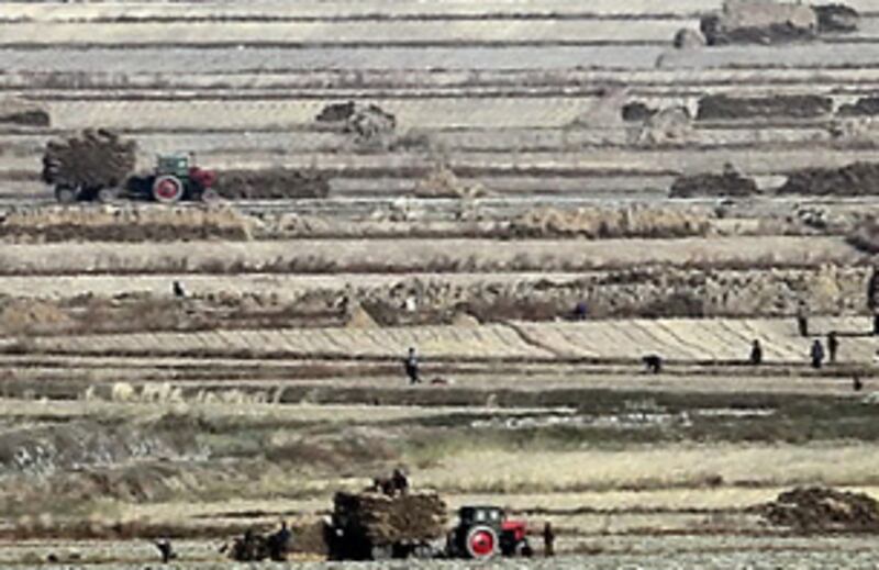 after_harvest_305