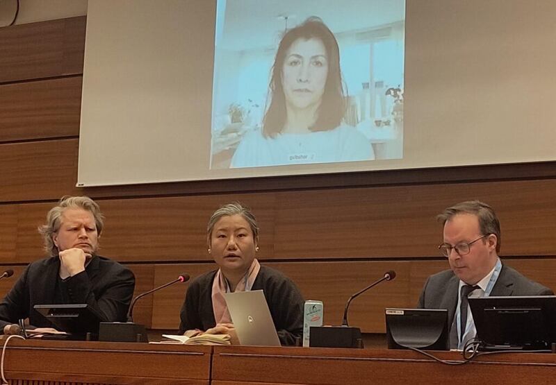 UN Side-Event (1).jpg