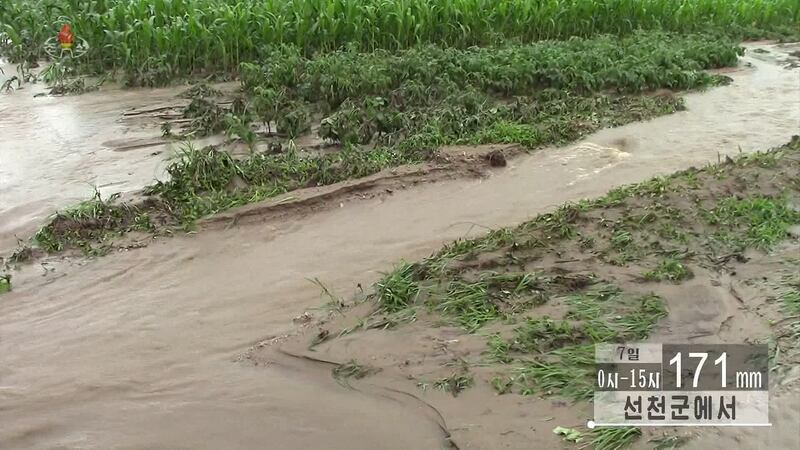 flood.jpg