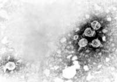 HepatitisBViemGan200.jpg