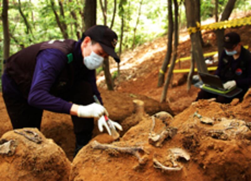 5월 21일 강원도 철원 서면 자등리의 6.25전사자 유해 발굴 현장. (사진제공: 국방부 유해발굴감식단)
