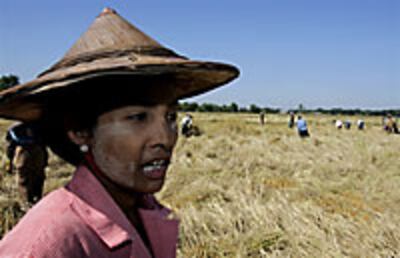 woman_farmer_200px.jpg