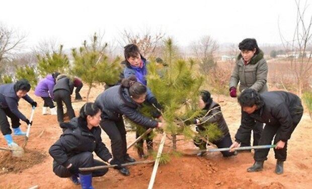 북한에서 식수절을 맞아 산림 조성을 위한 모임과 나무심기 행사가 각지에서 진행됐다.