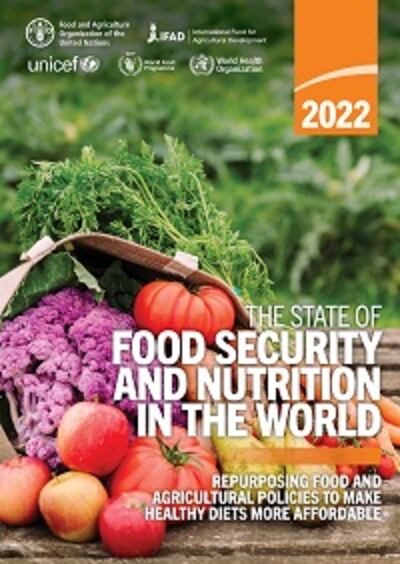6일 유엔이 발간한 '2022 세계 식량 안보 및 영양 현황' 보고서 표지. /FAO